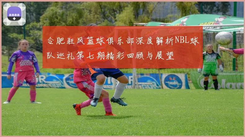 合肥狂风篮球俱乐部深度解析NBL球队巡礼第七期精彩回顾与展望