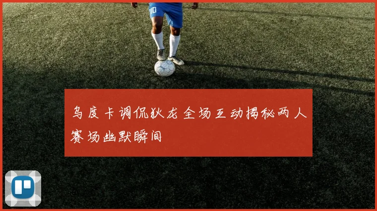 乌度卡调侃狄龙全场互动揭秘两人赛场幽默瞬间