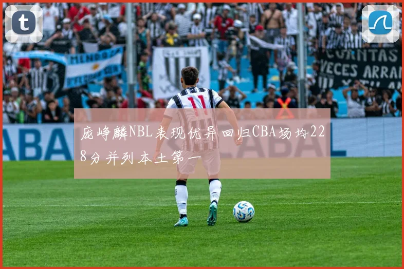 庞峥麟NBL表现优异回归CBA场均228分并列本土第一