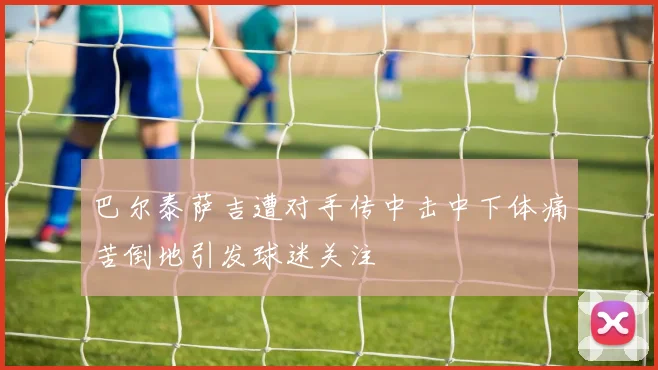 巴尔泰萨吉遭对手传中击中下体痛苦倒地引发球迷关注