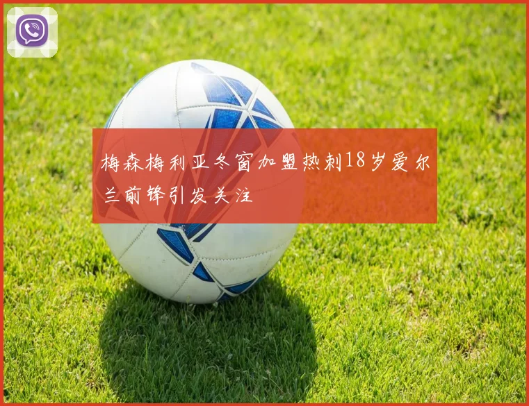 梅森梅利亚冬窗加盟热刺18岁爱尔兰前锋引发关注