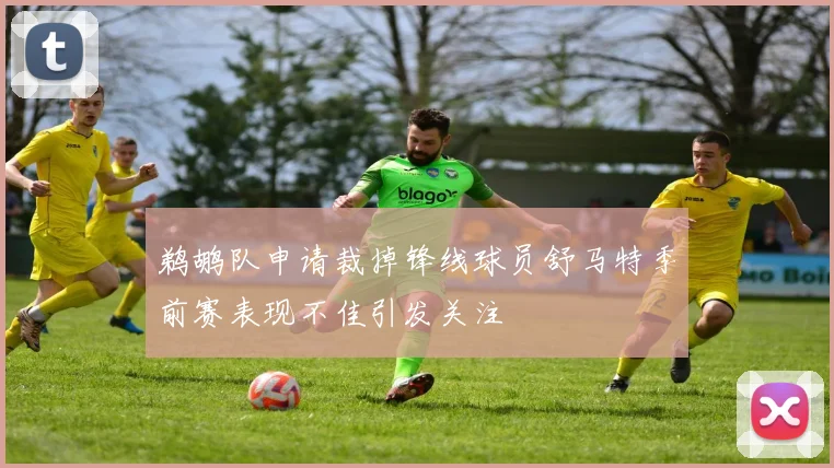 鹈鹕队申请裁掉锋线球员舒马特季前赛表现不佳引发关注