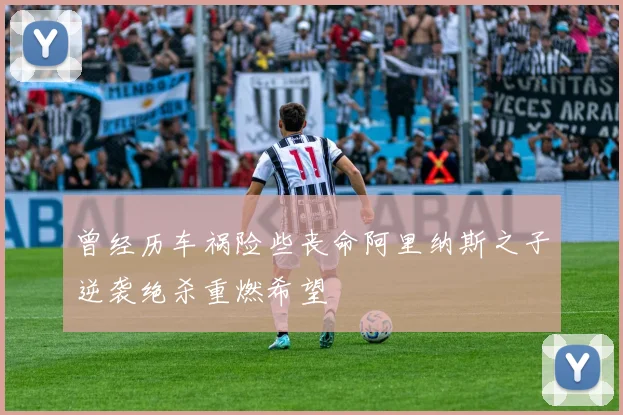 曾经历车祸险些丧命阿里纳斯之子逆袭绝杀重燃希望