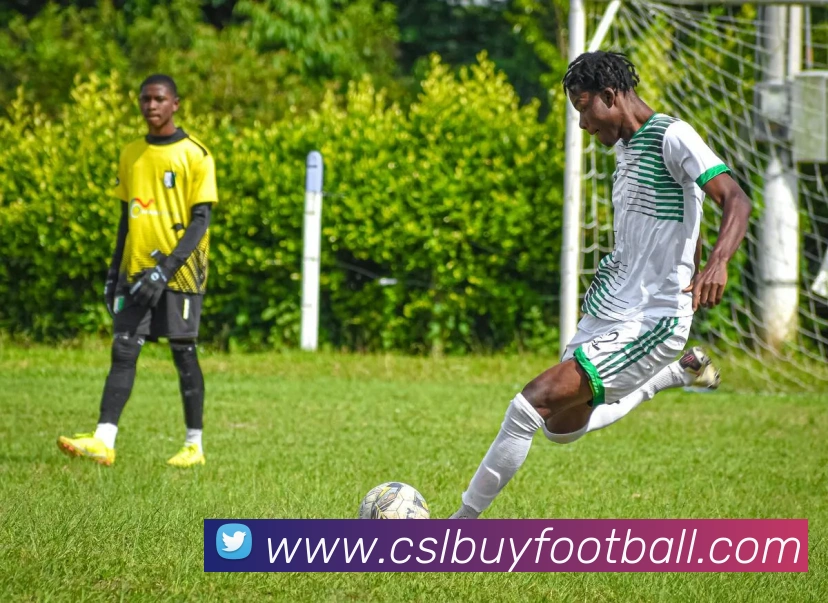 App Interface Preview