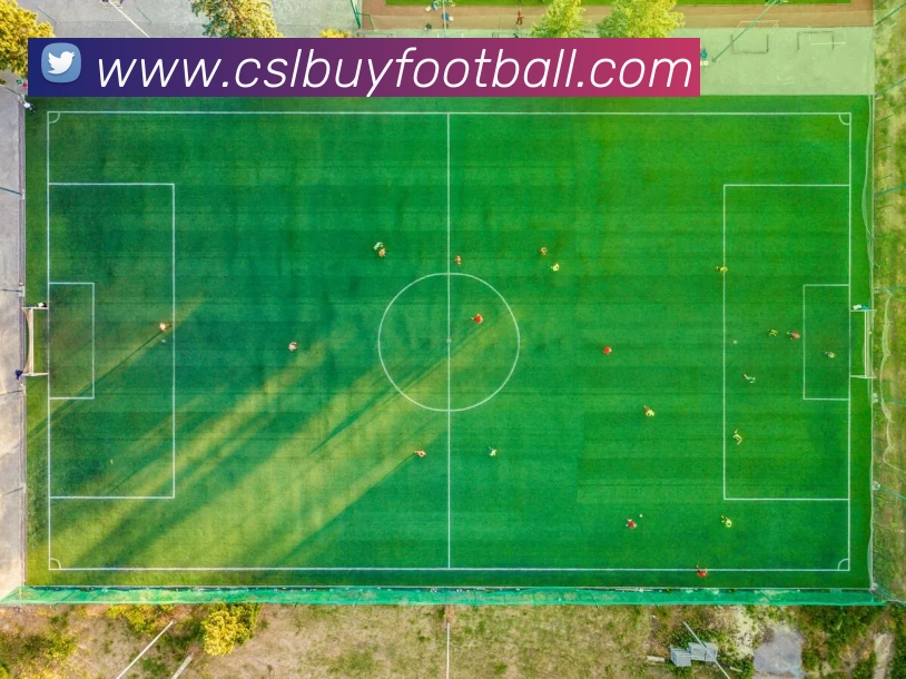 数据防护可视化